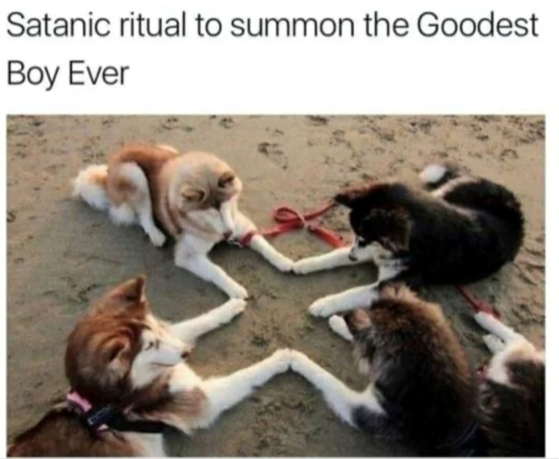 Satanic ritual to summon the Goodest Boy Ever