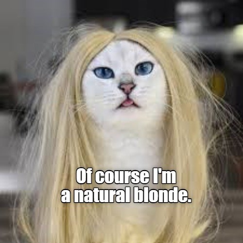 Of course I'm a natural blonde.