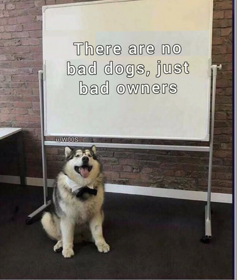 There are no bad dogs, just bad owners u/WOOS
