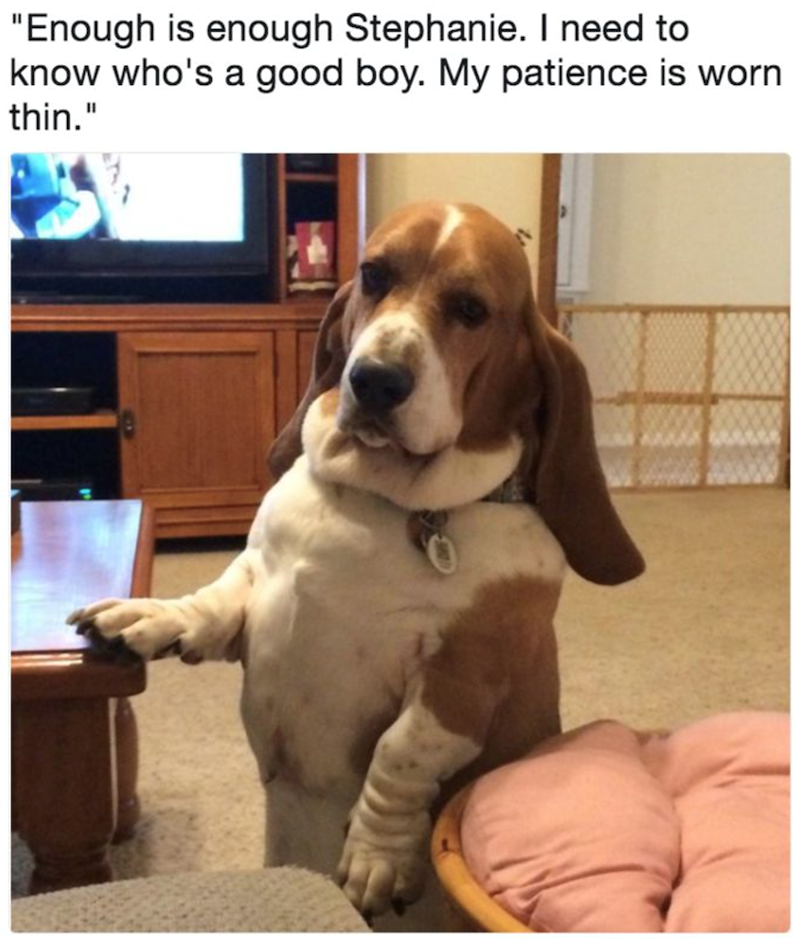 "Enough is enough Stephanie. I need to know who's a good boy. My patience is worn thin."
