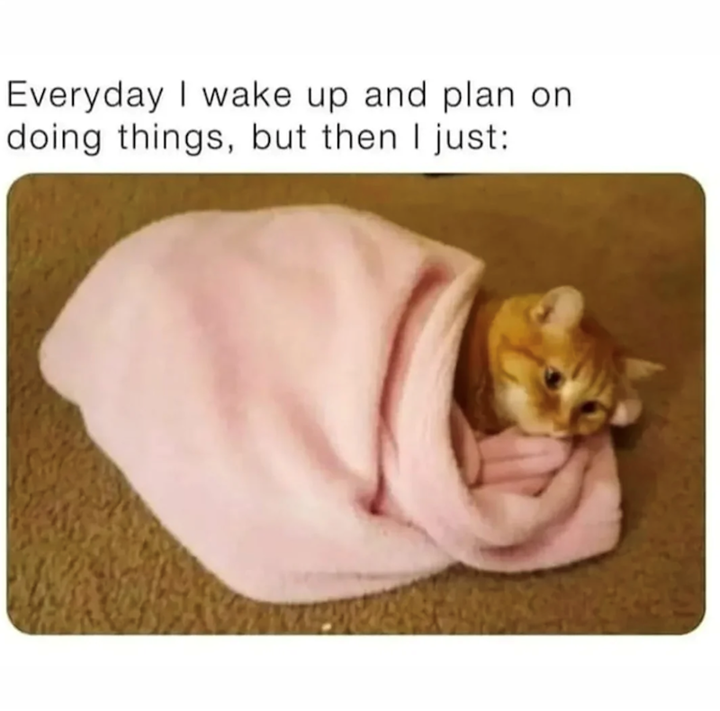 Everyday I wake up and plan on doing things, but then I just: