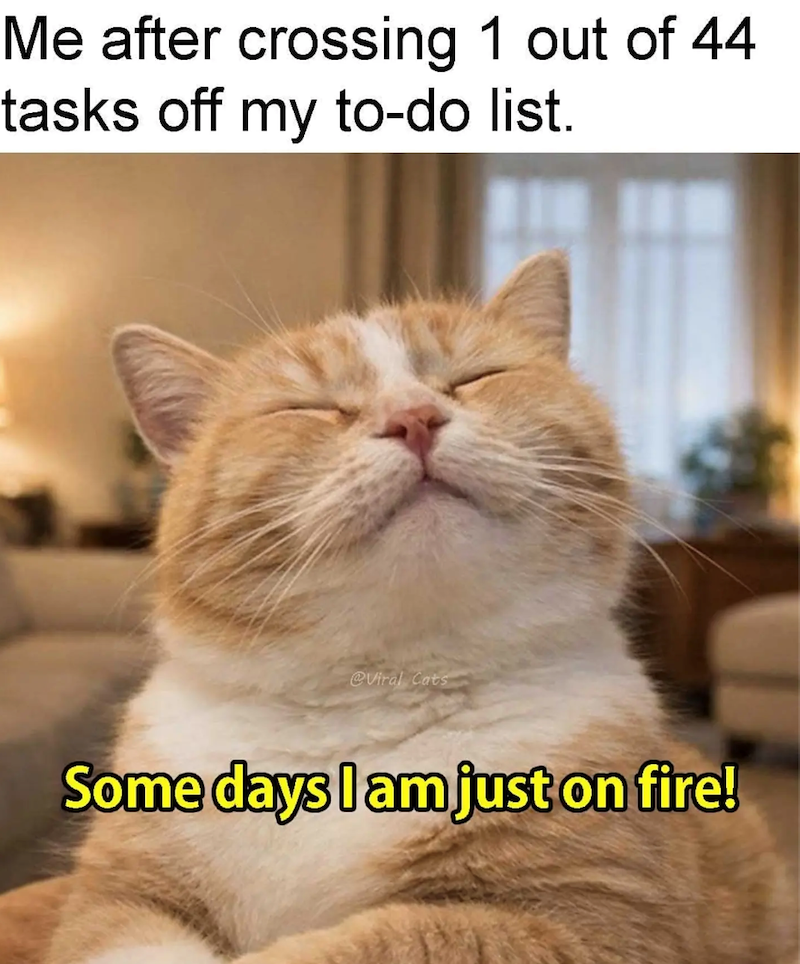 Me after crossing 1 out of 44 tasks off my to-do list. @Viral Cats Some days I am just on fire!