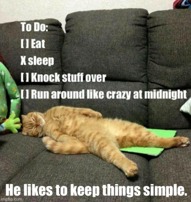 To Do: [] Eat X sleep [] Knock stuff over [] Run around like crazy at midnight He likes to keep things simple. imgflip.com