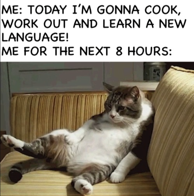 ME: TODAY I'M GONNA COOK, WORK OUT AND LEARN A NEW LANGUAGE! ME FOR THE NEXT 8 HOURS: