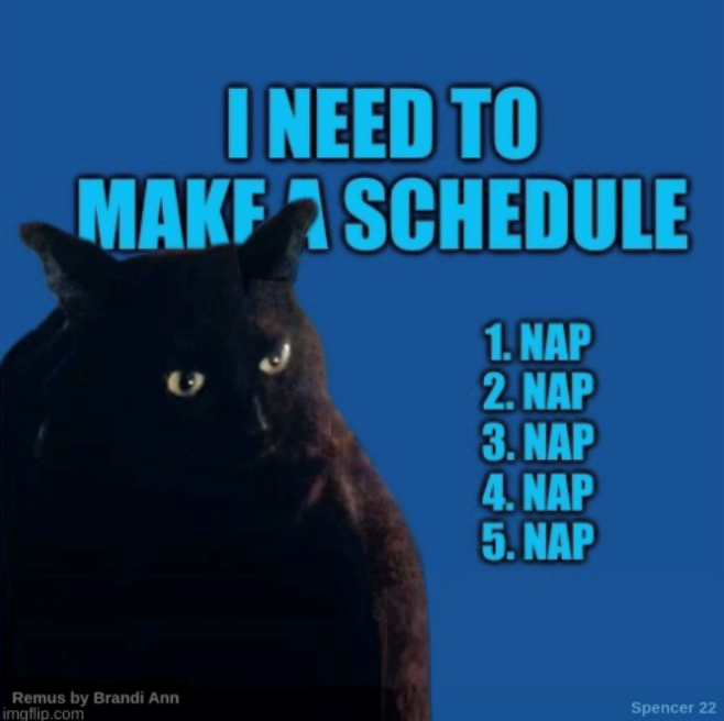 I NEED TO MAKE SCHEDULE Remus by Brandi Ann imgflip.com 1.NAP e 2. NAP 3. NAP 4. NAP 5. NAP Spencer 22
