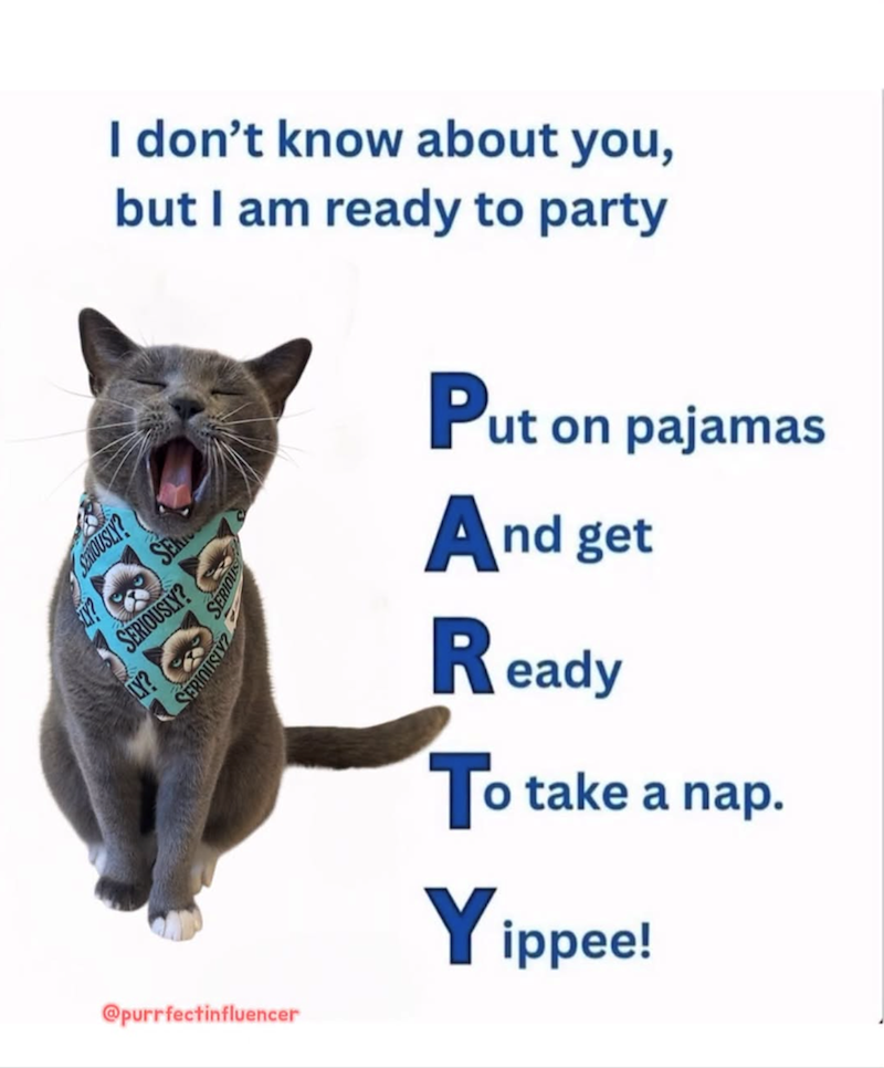 I don't know about you, but I am ready to party SERIOUS SLY? SERIOUSLY? SERIOUSLY? SERIOUSLY SERIC LY? Put on pajamas And get Ready @purrfectinfluencer To take a nap. Yippee!