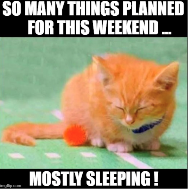 SO MANY THINGS PLANNED FOR THIS WEEKEND ... MOSTLY SLEEPING! imgflip.com