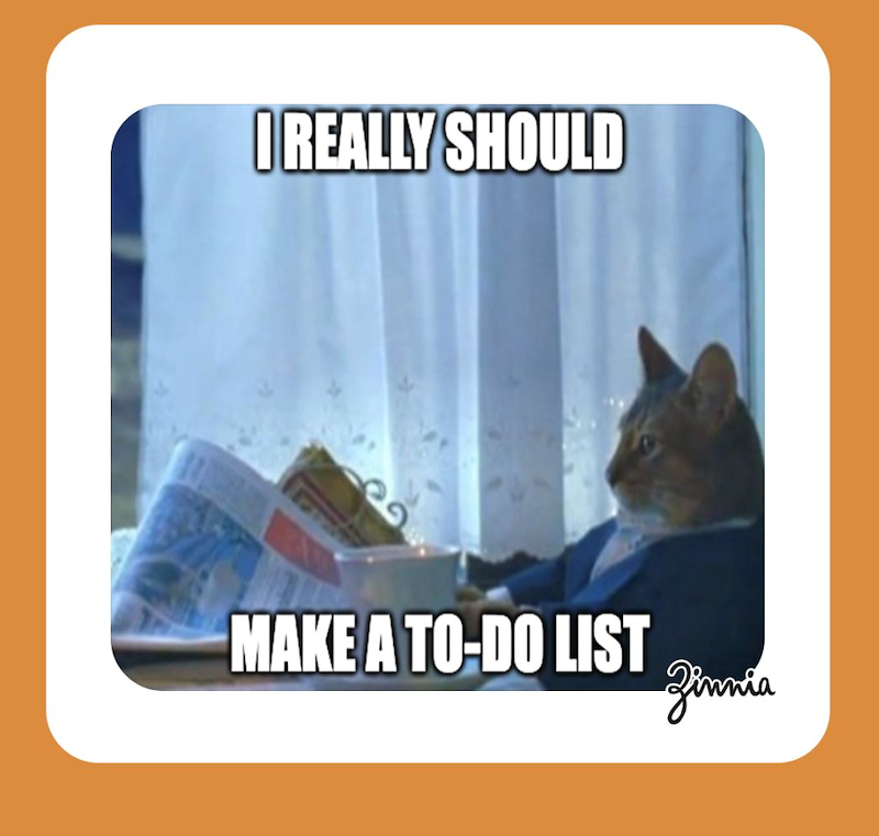 I REALLY SHOULD MAKE A TO-DO LIST Zinnia