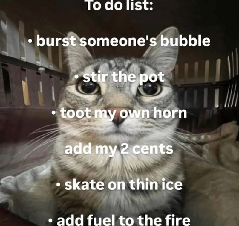 To do list: burst someone's bubble stir the pot toot my own horn add my 2 cents skate on thin ice add fuel to the fire