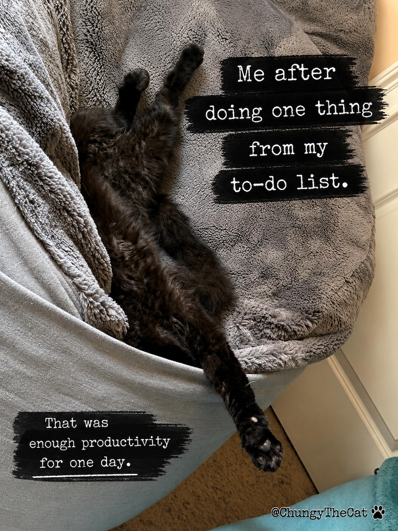 That was enough productivity for one day. Me after doing one thing from my to-do list. @ChungyTheCat