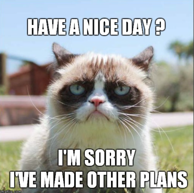 HAVE A NICE DAY? I'M SORRY I'VE MADE OTHER PLANS imaflip.com