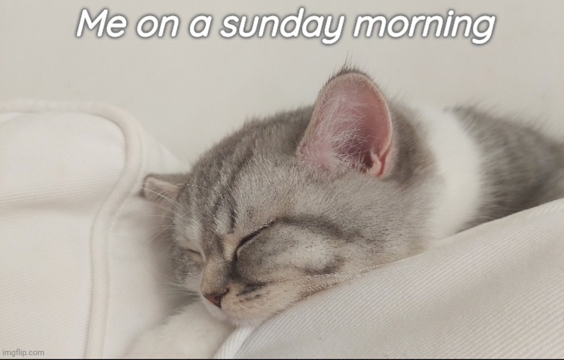 imgflip.com Me on a sunday morning