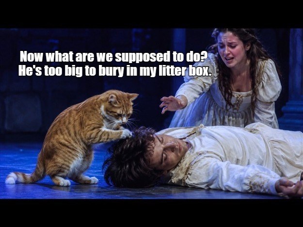 Now what are we supposed to do? He's too big to bury in my litter box.