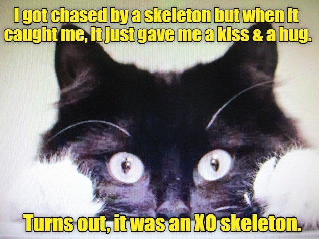 I got chased by a skeleton but when it caught me, it just gave me a kiss & a hug. Turns out, it was an XO skeleton.