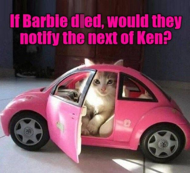 If Barbie dled, would they notify the next of Ken?
