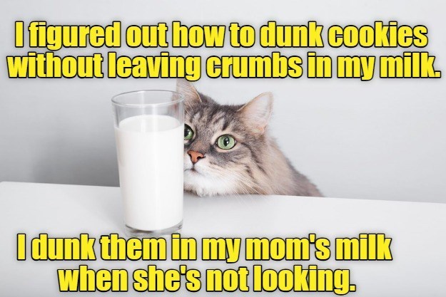 I figured out how to dunk cookies without leaving crumbs in my milk. I dunk them in my mom's milk when she's not looking.