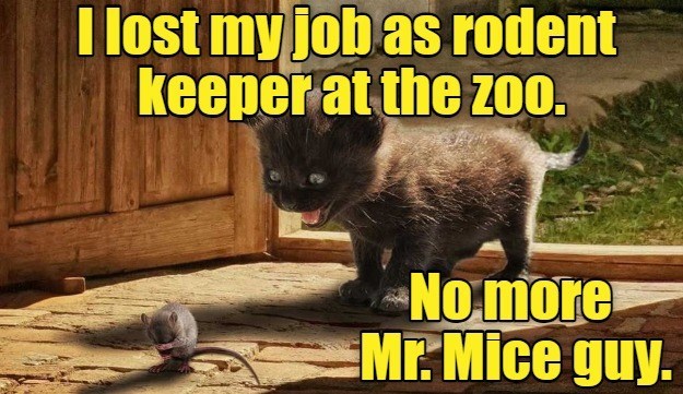 I lost my job as rodent keeper at the zoo. No more Mr. Mice guy.