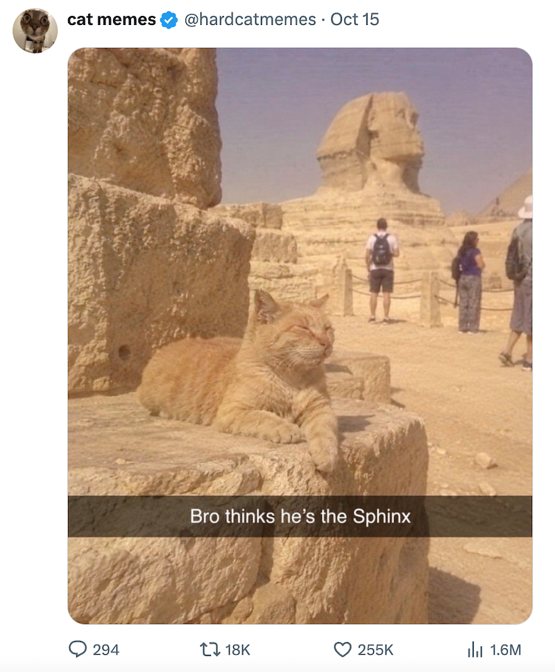 cat memes @hardcatmemes • Oct 15 Bro thinks he's the Sphinx 294 18K 255K IlII 1.6M