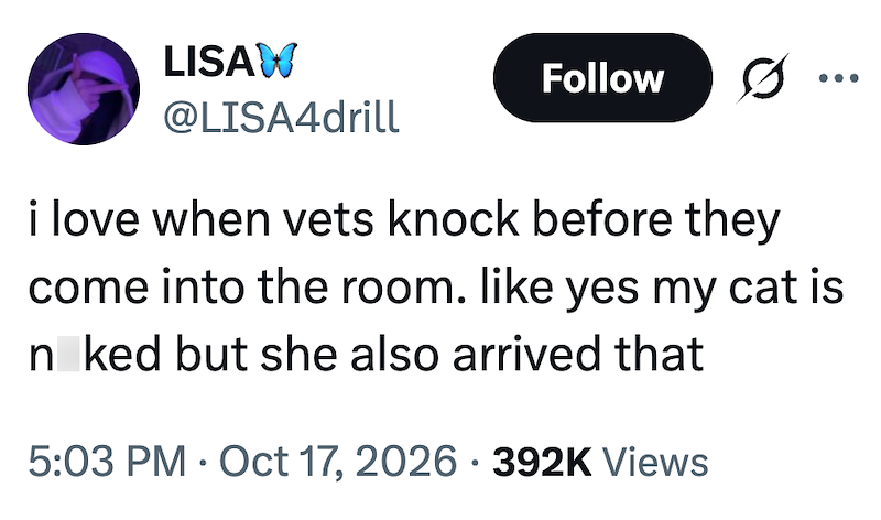 LISAW @LISA4drill Follow i love when vets knock before they come into the room. like yes my cat is n ked but she also arrived that 5:03 PM Oct 17, 2026 392K Views • •