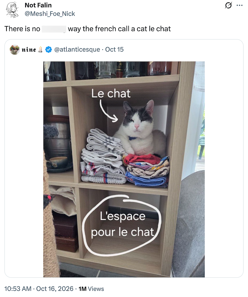 Not Falin @Meshi_Foe_Nick Iway the french call a cat le chat There is no nine @atlanticesque. Oct 15 Le chat L'espace pour le chat 10:53 AM Oct 16, 2026 1M Views Q
