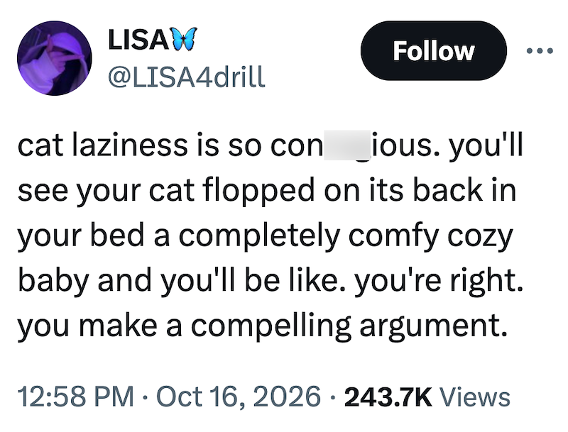 LISAW @LISA4drill Follow cat laziness is so con _ious. you'll see your cat flopped on its back in your bed a completely comfy cozy baby and you'll be like. you're right. you make a compelling argument. 12:58 PM - Oct 16, 2026 243.7K Views •