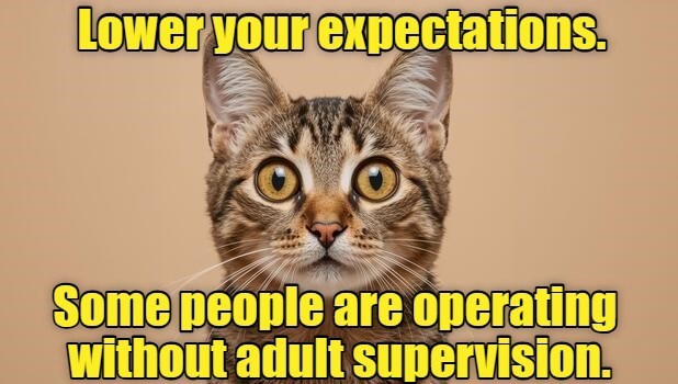 Lower your expectations. Some people are operating without adult supervision.