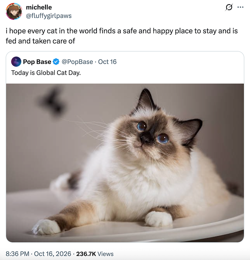 michelle @fluffygirlpaws ... Ø .. i hope every cat in the world finds a safe and happy place to stay and is fed and taken care of Pop Base @PopBase Oct 16 Today is Global Cat Day. 8:36 PM Oct 16, 2026 236.7K Views
