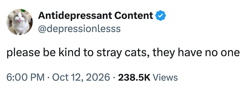 Antidepressant Content @depressionlesss please be kind to stray cats, they have no one • 6:00 PM Oct 12, 2026 238.5K Views