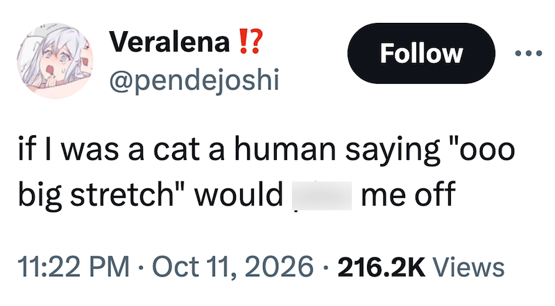 Veralena !? @pendejoshi Follow if I was a cat a human saying "ooo big stretch" would • me off 11:22 PM ⚫ Oct 11, 2026 216.2K Views •