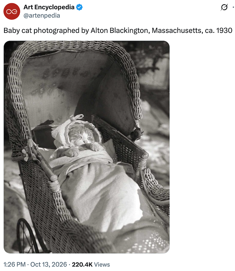 Art Encyclopedia @artenpedia Q Baby cat photographed by Alton Blackington, Massachusetts, ca. 1930 1:26 PM Oct 13, 2026 220.4K Views