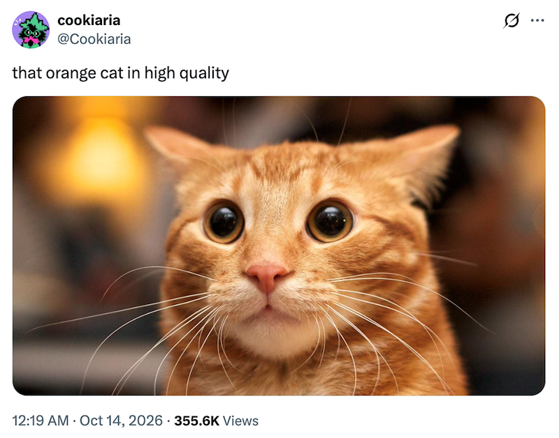 cookiaria @Cookiaria that orange cat in high quality 12:19 AM Oct 14, 2026 355.6K Views . ...