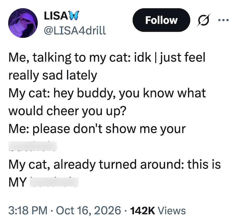 LISAW @LISA4drill Follow Me, talking to my cat: idk | just feel really sad lately My cat: hey buddy, you know what would cheer you up? Me: please don't show me your My cat, already turned around: this is MY 3:18 PM Oct 16, 2026 142K Views •