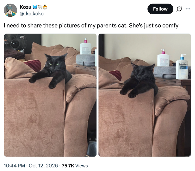 Kozu Whe @_ko_koko Follow ... I need to share these pictures of my parents cat. She's just so comfy 10:44 PM • Oct 12, 2026 75.7K Views Lubriderm