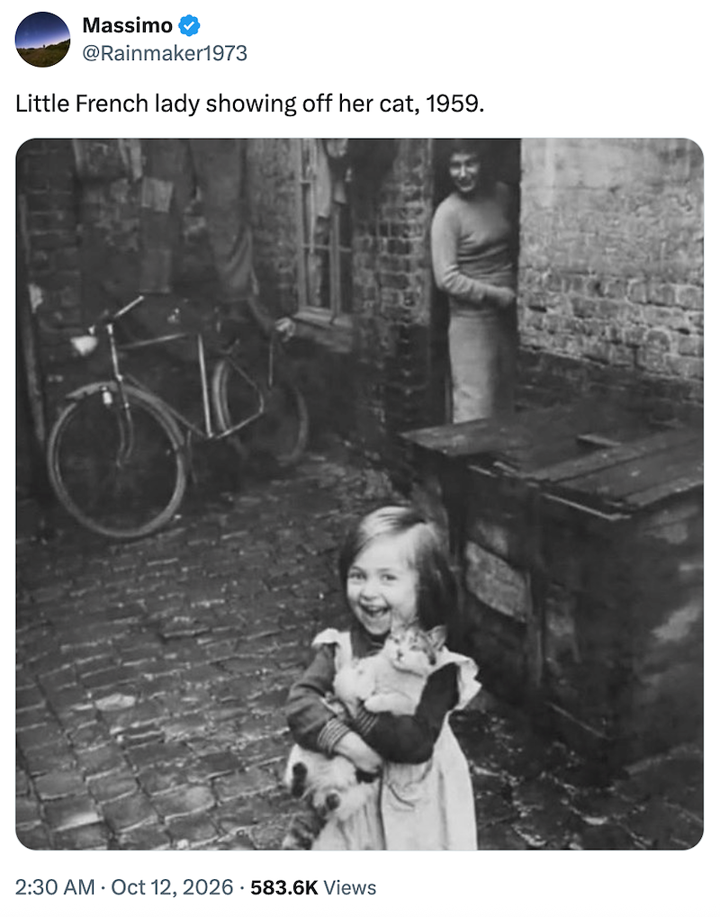 Massimo @Rainmaker1973 Little French lady showing off her cat, 1959. 2:30 AM Oct 12, 2026 583.6K Views