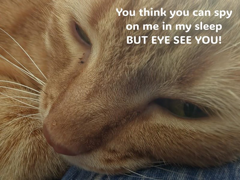 You think you can spy on me in my sleep BUT EYE SEE YOU!