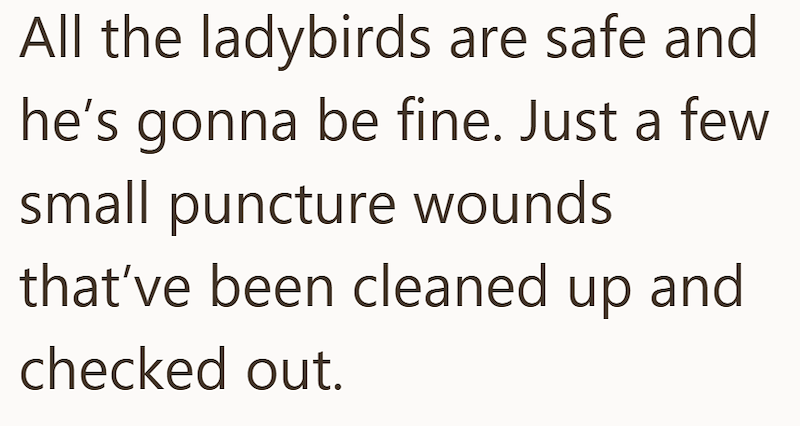 All the ladybirds are safe and he's gonna be fine. Just a few small puncture wounds that've been cleaned up and checked out.