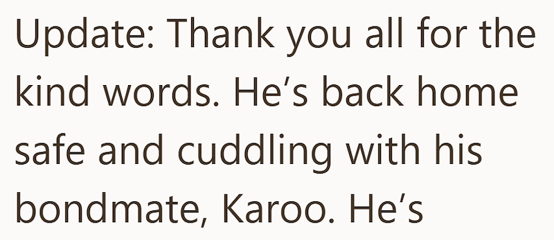 Update: Thank you all for the kind words. He's back home safe and cuddling with his bondmate, Karoo. He's