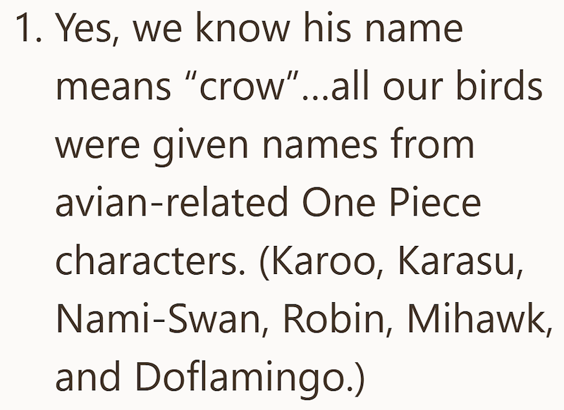 1. Yes, we know his name means "crow"...all our birds were given names from avian-related One Piece characters. (Karoo, Karasu, Nami-Swan, Robin, Mihawk, and Doflamingo.)