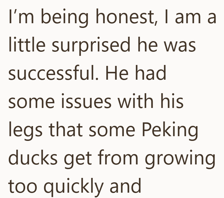 I'm being honest, I am a little surprised he was successful. He had some issues with his legs that some Peking ducks get from growing too quickly and