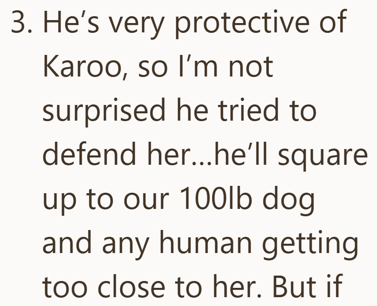 3. He's very protective of Karoo, so I'm not surprised he tried to defend her...he'll square up to our 100lb dog and any human getting too close to her. But if