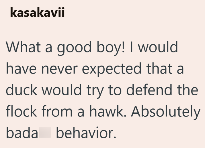 kasakavii What a good boy! I would have never expected that a duck would try to defend the flock from a hawk. Absolutely behavior. bada
