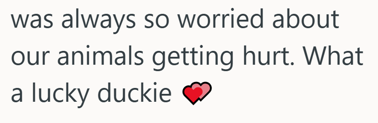 was always so worried about our animals getting hurt. What a lucky duckie