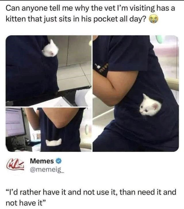 Can anyone tell me why the vet I'm visiting has a kitten that just sits in his pocket all day? M Memes✔ @memeig "I'd rather have it and not use it, than need it and not have it"