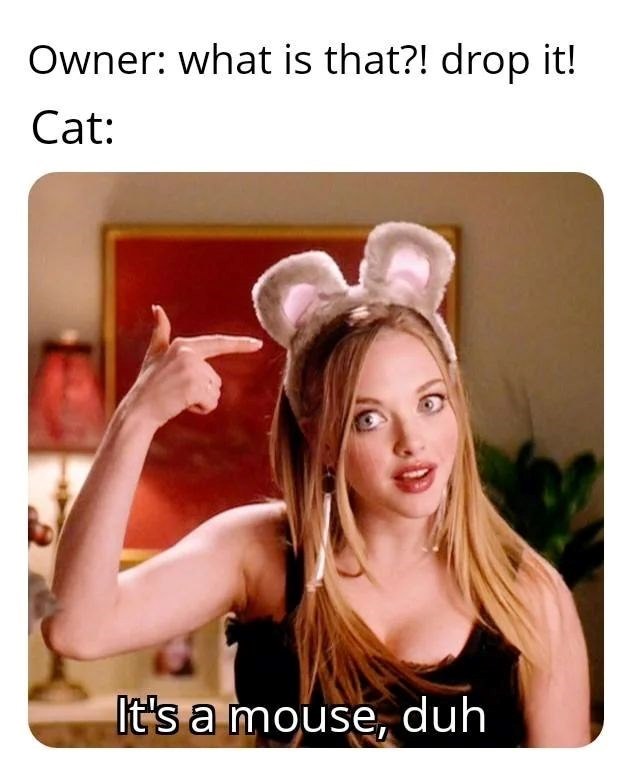 Owner: what is that?! drop it! Cat: It's a mouse, duh