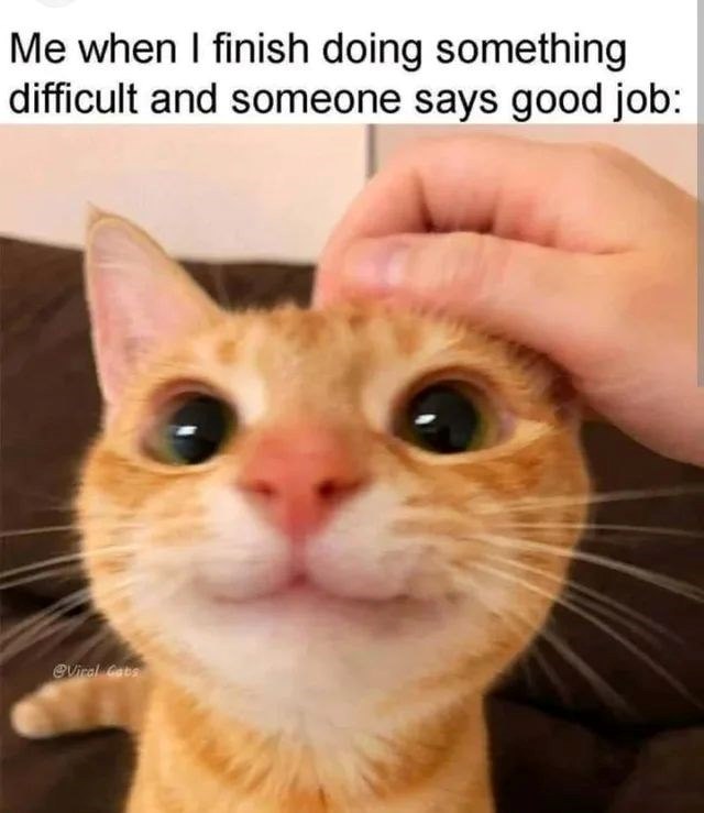 Me when I finish doing something difficult and someone says good job: eViral Cats