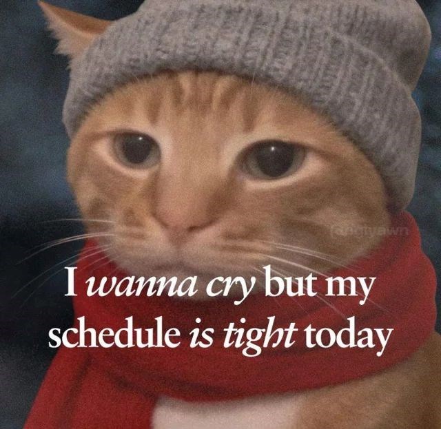 apatyawn I wanna cry but my schedule is tight today