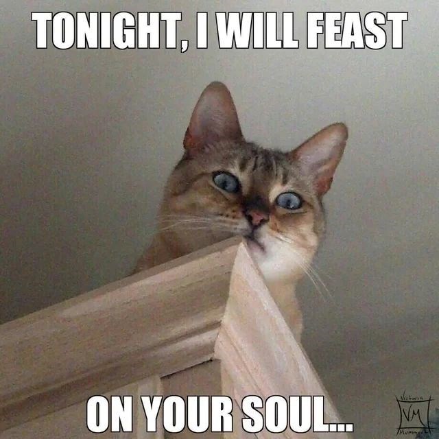 TONIGHT, I WILL FEAST ON YOUR SOUL... VM Mummy