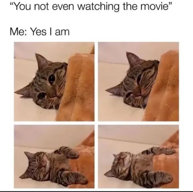 "You not even watching the movie" Me: Yes I am