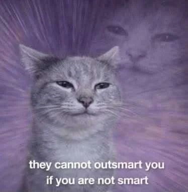 they cannot outsmart you if you are not smart