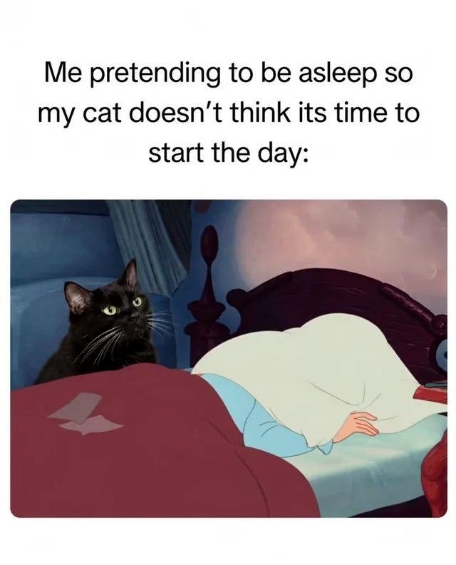 Me pretending to be asleep so my cat doesn't think its time to start the day: